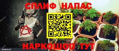 наркотики Кандалакша