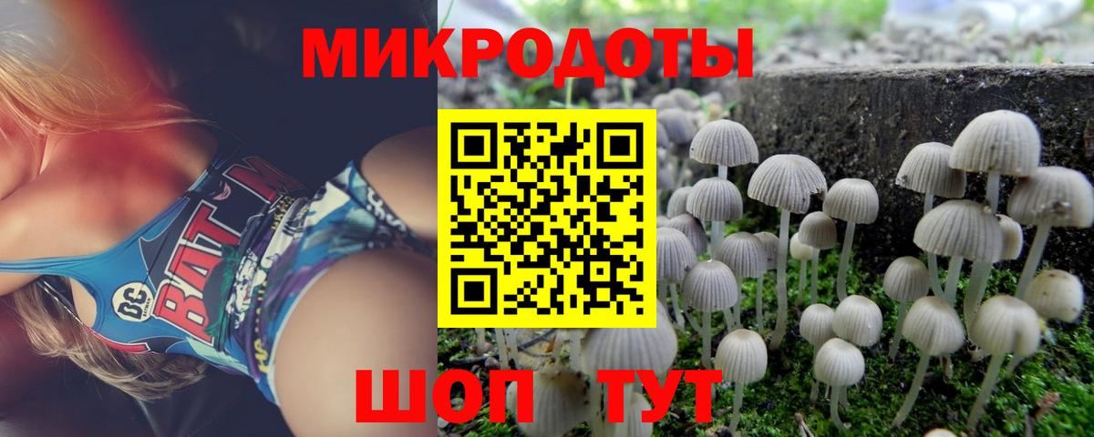 Галлюциногенные грибы ЛСД  Вход с VPN  Галлюциногенные грибы GOLDEN TEACHER  Краснознаменск 